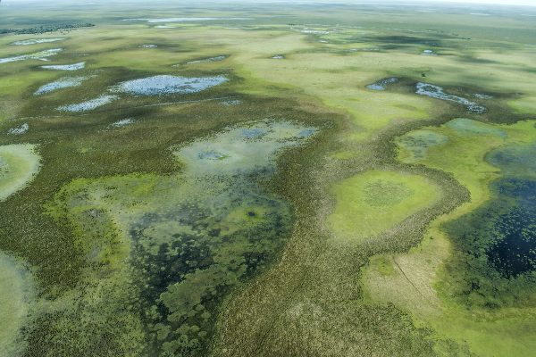 Rafael Aubin - Iberá - Aérea Paisaje 01 - 2018