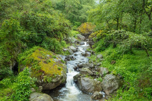 Parque Nacional Aconquija - Florian von der Fecht - enero 2019 - 285