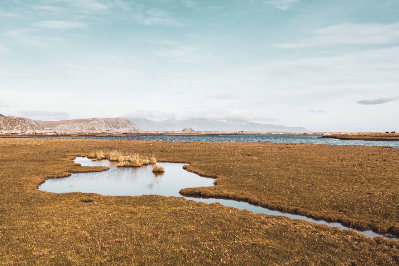 An urgent call to protect South America's largest peat reserve