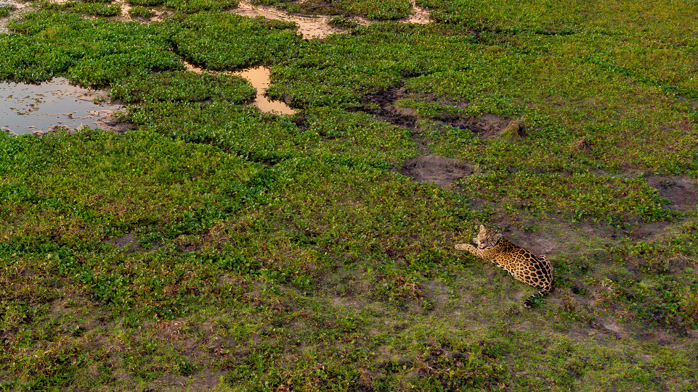 seriema nature tours