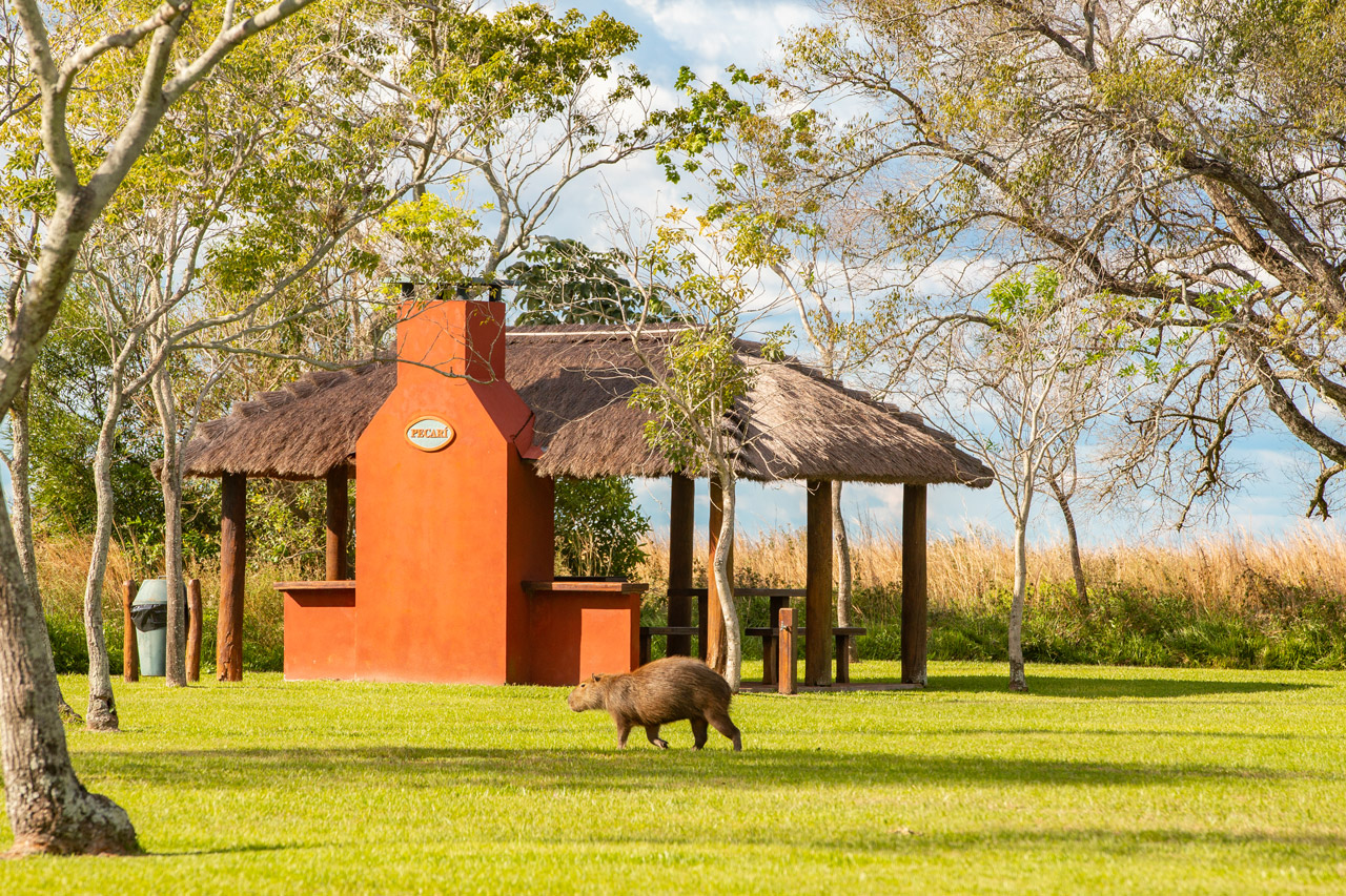 seriema nature tours