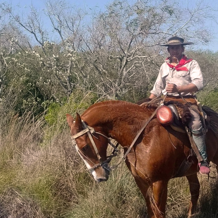 seriema nature tours