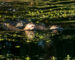 Nutria gigante - Nanay y Ariranha - Sebastian Navajas - Rewilding Argentina -9946 copy